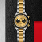 TUDOR Black Bay Chrono S&G