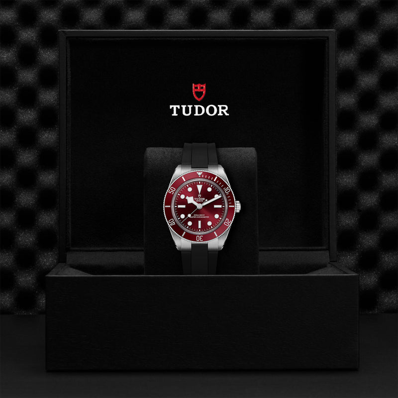 TUDOR Black Bay 58
