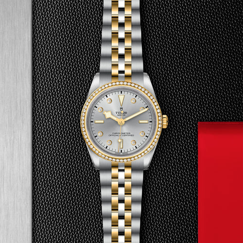 TUDOR Black Bay 36 S&G